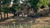 Myanmar Fighting Raises Hopes, Fears in Bangladesh