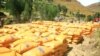 tigray region fertilizers