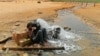 Un migrant d'origine africaine boit de l'eau à son arrivée dans une zone inhabitée près d'al-Assah à la frontière libyo-tunisienne le 30 juillet 2023.