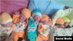 په سوشل میډیا شریک شوی په راولپنډۍ کې په یو ځای د پېدا شویو ماشومانو تصویر