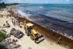 FILE - Brazilian soldiers and residents work to remove an oil spill on Itapuama Beach in Cabo de Santo Agostinho, Pernambuco state, Brazil, Oct. 22, 2019.