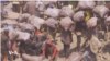 Thumbnail-TVPKG- Russia- C.A.R Mwambia 
