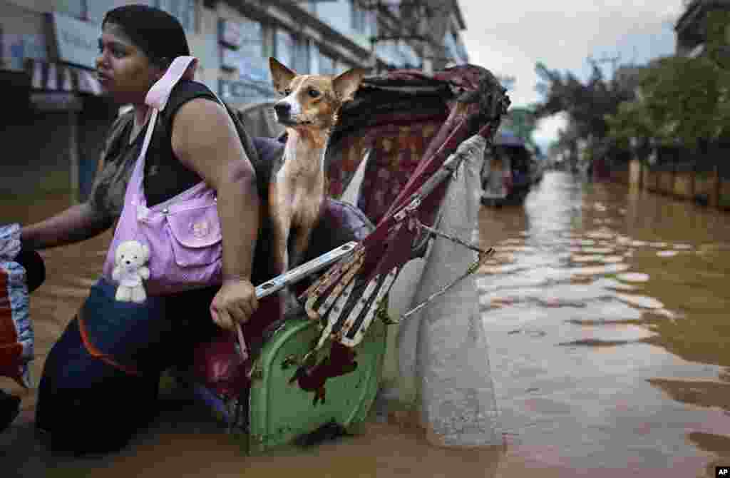 Seorang perempuan dan anjingnya naik rickshaw, semacam becak, berjalan melalui banjir di Gauhati, India. Sejumlah orang tewas karena sengatan listrik dan tanah longsor yang dipicu oleh hujan terus-menerus di negara bagian Assam di timur laut India.