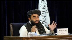 د طالبانو ترجمان ذبیح الله مجاهد