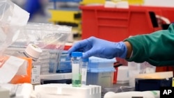 FILE - A researcher at Protein Sciences works in a lab in Meriden, Conn., March 12, 2020. The biotech company is researching a vaccine for COVID-19.