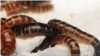 16x9 Image