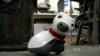 "MiRo" หุ่นยนต์สัตว์เลี้ยงอัจฉริยะช่วยคลายเหงาให้ผู้สูงอายุ