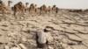 Change Looms for Ethiopia's Ancient Salt Trade