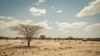 Le pire est à venir avec les effets de la sécheresse en Afrique, selon l'ONU