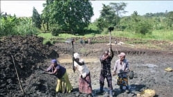 L'aquaculture au Cameroun en quête de financements et de solutions innovantes

