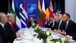 Bisedime në NATO