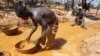 Un mineur cherche de l'or à Koflatie, une mine au Mali à quelques kilomètres de la Guinée, le 28 octobre 2014.
