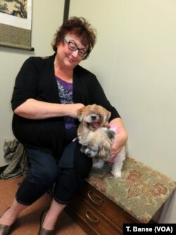 Michelle Batten of Portland gives Canna-Pet capsules to her two aging dogs, Willy and Gracie.
