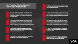 Infographic on AR-15 Gun