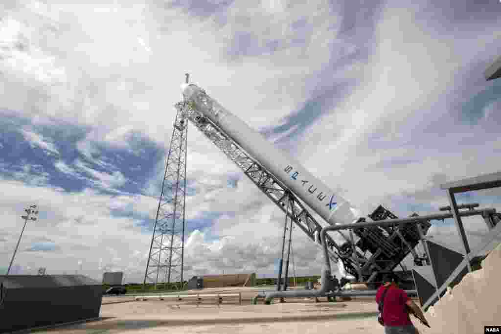 A Falcon 9 rocket with a Dragon capsule secured atop rises into a vertical position between the lightning masts on the pad at Space Launch Complex 40, Cape Canaveral Air Force Station, Florida, October 7, 2012. (NASA/Jim Grossmann)
