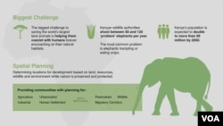World Elephant Day.