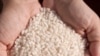 Cost of Rice Expected to Rise