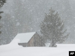 Snow falls on a meadow near the site where the Department of Water Resources conducts the snow survey, March 30, 2017, near Echo Summit, Calif. The survey found the snowpack's water content at 183 at percent of normal for this location at this time of year.
