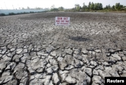 A sign which reads "Land for sale or for lease" is seen placed on a drought-affected rice field in Bac Lieu province, in the Mekong Delta, Vietnam March 30, 2016. Picture taken on March 30, 2016.