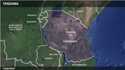 Mchambuzi achambua hasara zinazoletwa na chaguzi ndogo