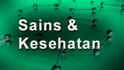 Sains dan Kesehatan: Tanaman Penyaring Air Lestarikan Habitat Salamander Meksiko