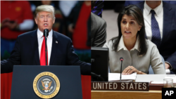 Trump Niki Haley with AP credit