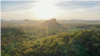 Cambodia's thick forest in a protected area of Prey Lang. (Courtesy photo of USAID Greening Prey Lang) 