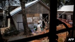 Pekerja kesehatan melihat dari lubang bekas tembakan di jendela sebuah pusat perawatan Ebola di Butembo, Republik Demokratik Kongo, 9 Maret 2019.