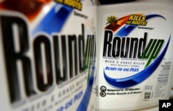 Pupuk pencegah tanaman liar, Roundup. (Foto: dok).