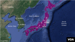 Approximate earthquake epicenter, near Tomioka, Japan