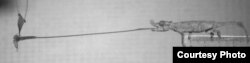 The tiny Rhampholeon spinosus chameleon can stick out its tongue with a peak acceleration 264 times greater than the acceleration due to gravity.