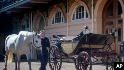 Philip Barnard-Brown, Senior Coachman at the Buckingham Palace Mews, leads one of the horses that will pull the carriage at the wedding of Prince Harry and Meghan Markle, past the Ascot Landau open carriage, at Buckingham Palace.