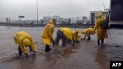 Para pekerja Meksiko membersihkan ranting dan batang pohon dari sebuah jalan yang tergenang banjir akibat topan Patricia di kota Manzanillo, Colima, Meksiko Jumat (23/10).