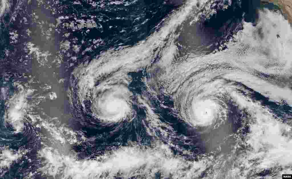 The island of Hawaii rarely takes a direct hit from a hurricane. This week, two Pacific storms are lining up to change that. At 11 a.m. Hawaii Standard Time on Aug. 30, Madeline was centered 370 miles east-southeast of Hilo and had sustained wind speeds of 115 miles (185 kilometers) per hour. At the same time, Lester’s wind speed was 120 mph (195 kmph) and its position was 1,300 miles east of Hilo. (Image: NASA Earth Observatory image by Jesse Allen)