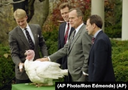 FILE - President George Bush pardons the turkey at The White House, November 24, 1992.