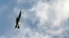 FILE - An Australian FA-18 fighter aircraft circles over Sydney.