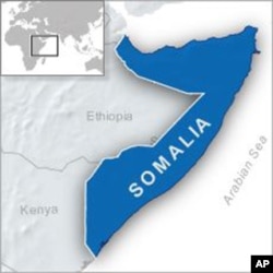 Helicopter Attacks al-Shabab-Held Town