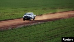 A farmer crosses his wheat crop at a farm in Condobolin, 285 miles (489 km) west of Sydney, July 5, 2011. 
