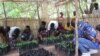 La Banque mondiale soutient le Malawi face aux défis du changement climatique