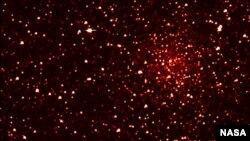 Cluster of stars in Kepler's sight. (NASA)