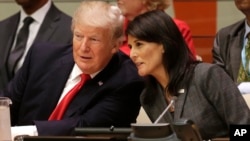 Президент Трамп і постпред Гейлі перед засіданням