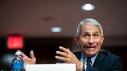 Dr. Anthony Fauci.