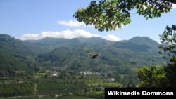 Salah satu perkebunan kopi di Lembah Orosi di Costa Rica, yang juga menjadi tempat tujuan pariwisata.