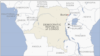 Militia Attack Kills 8 Farmers in DR Congo