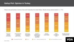 Gallup survey results.