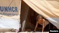 A Syrian refugee girl looks out from a tent amidst dust at Al Zaatri refugee camp in the Jordanian city of Mafraq, near the border with Syria, August 13, 2012.