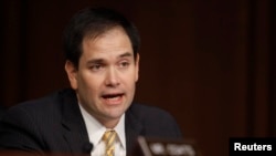 US Senator Marco Rubio (2013 photo)
