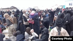Women and children arrive at a reception area at al-Hol camp in northeast Syria, March 14, 2019. (Photo courtesy of International Rescue Committee)