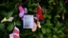 Foto ilustrasi yang menunjukkan pohon di pemakaman Tuam di Tuam, Irlandia, pada 12 Januari 2021. (Foto: Reuters/Clodagh Kilcoyne)