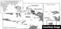 The world's largest shark fin industry lies in the heart of the Coral Triangle (Courtesy of Vanessa Jaiteh).